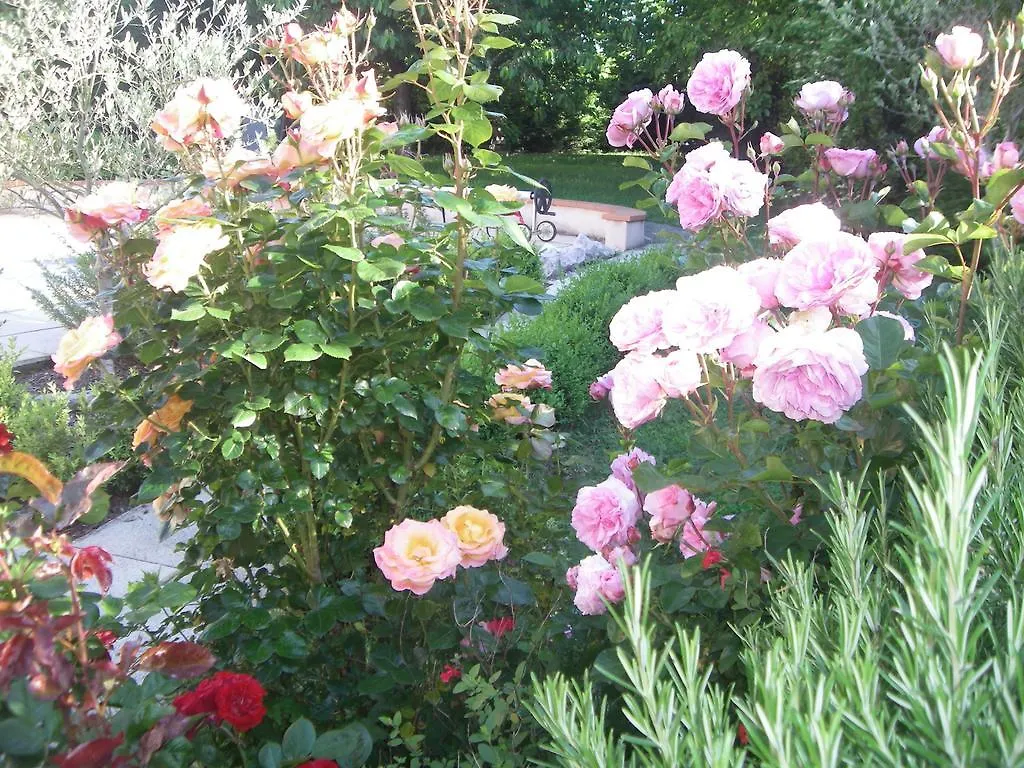 L'Escale De La Pradelle Bed & Breakfast Montgiscard